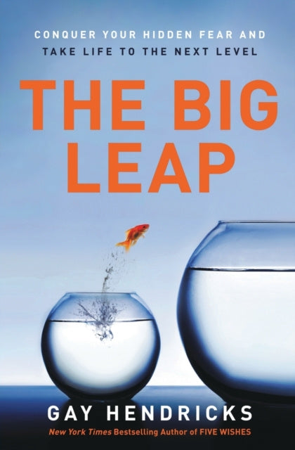 Big Leap: Conquer Your Hidden Fear and Take Life to the Next Level, The