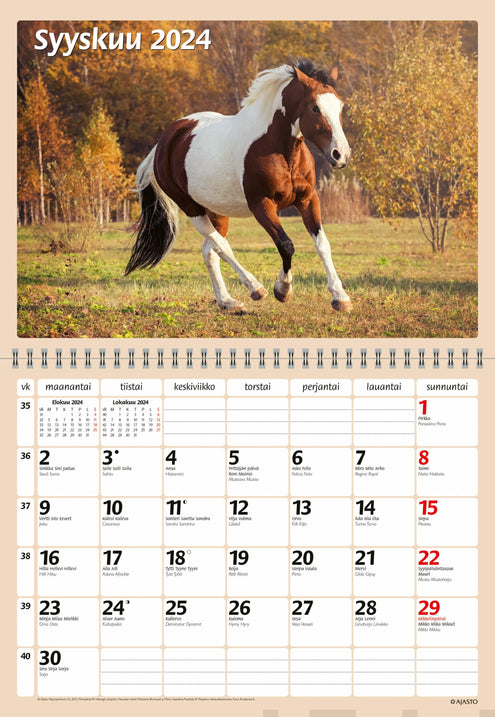 Hevoset 2024 (seinäkalenteri)