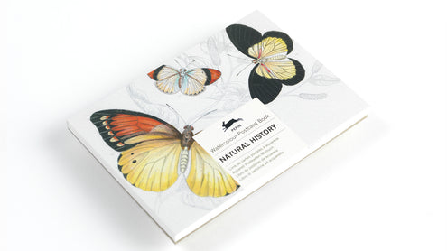 Väritettävä postikorttisetti Pepinpress Natural History
