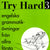 Try Hard 3
