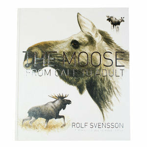 moose : from calf to adult, The