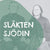 Tuotteen Släkten Sjödin : En släkthistoria från Hälsingland, Ångermanland och Väster pikkukuva 1
