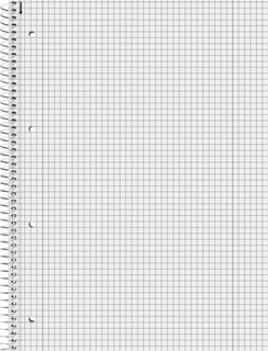 Luentolehtiö A4/80 5x5 ruudut Brunnen Fact! ruskea