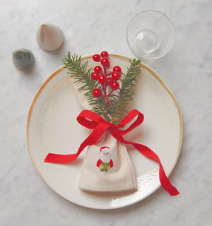 Kirjontatarrasetti Joulupukki Rico Design