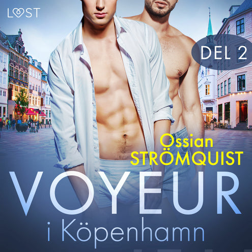 Voyeur i Köpenhamn 2 - erotisk novell