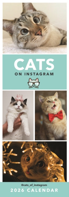 Valokuva kirjasta  Cats On Instagram Slim Calendar 2026, kuuluu tuoteryhmään Muut ulkomaiset kirjat.