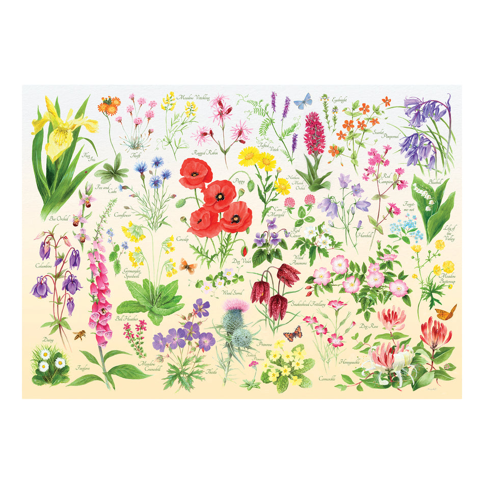 Valokuva tuotteesta Palapeli 1000 palaa Wildflowers, kuuluu tuoteryhmään Palapelit.