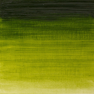 Öljyväri 37ml 599 Sap green W&N Winton