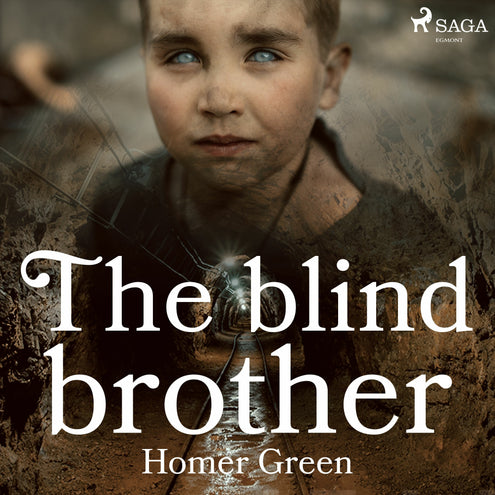 Blind Brother, The
