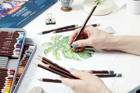 Värikynä 6 väriä ihosävyt Derwent Coloursoft