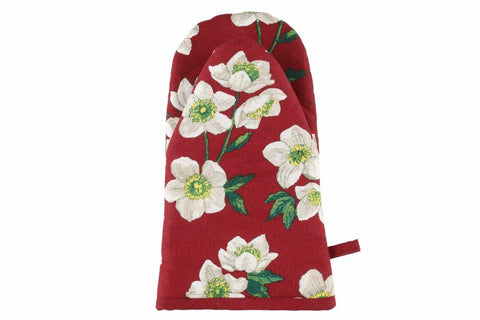 Winteria Patakinnas Helleborus 18x30 cm