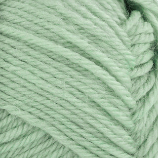Lanka Novita Wonder Wool 50g 308 jade