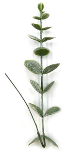 Koristeoksa 3 kpl Eukalyptus huurre