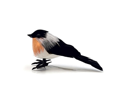 Miniatyyrilintu punatulkku