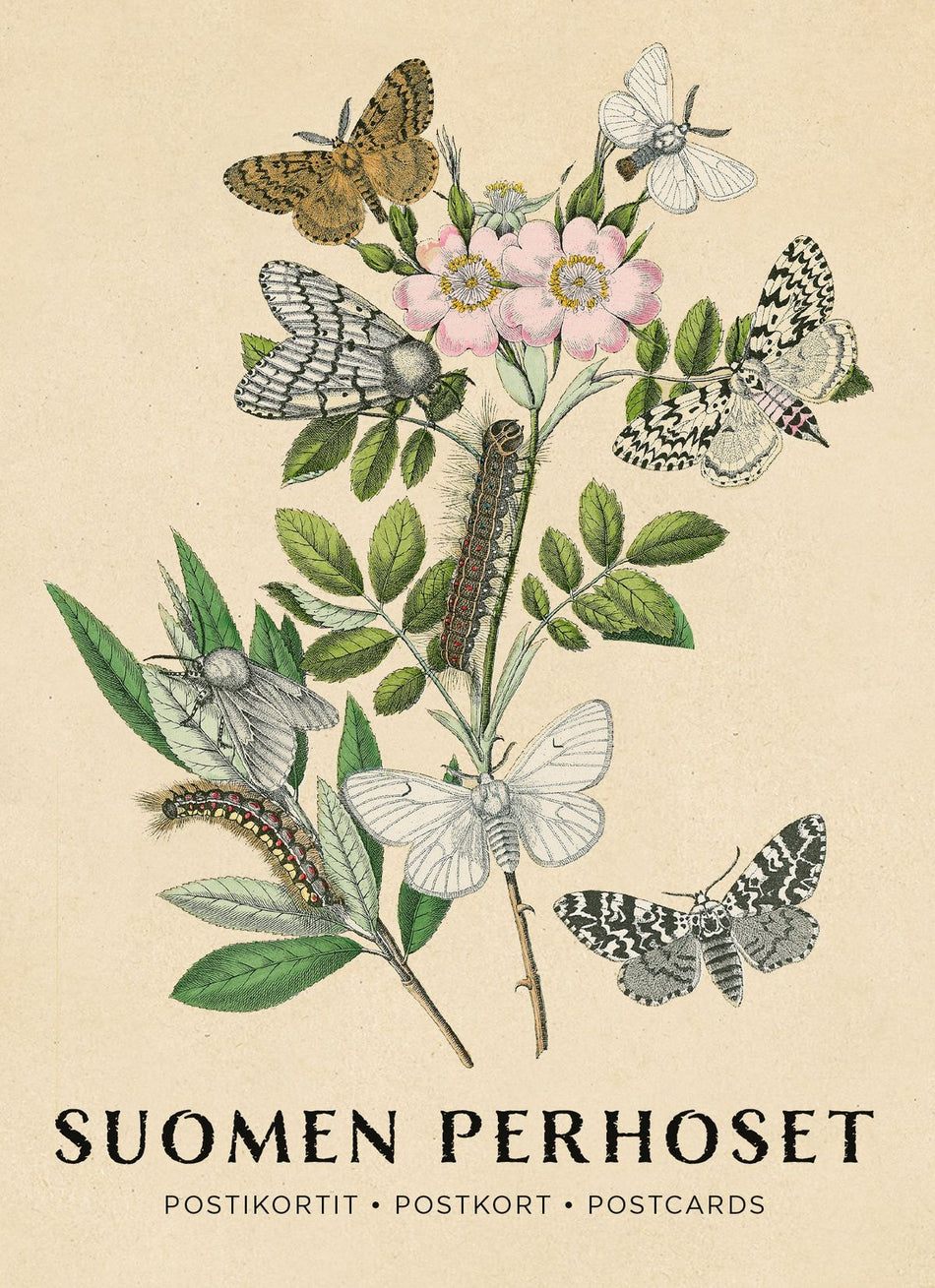 Valokuva tuotteesta Suomen perhoset postikorttipakkaus, kuuluu tuoteryhmään Muut kortit.