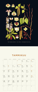 Ebba Masalin seinäkalenteri 2026