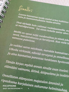 Villiyrtit niityltä pataan