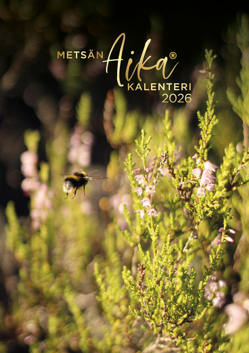Valokuva tuotteesta Metsän aika kalenteri 2026, kuuluu tuoteryhmään Tasku- ja pöytäkalenterit.
