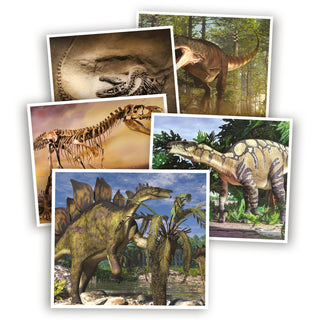 Dinosaurusten Ihmeellinen Maailma - Tietovisa