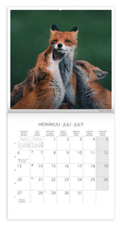 Seinäkalenteri Konsta Punkka 2026