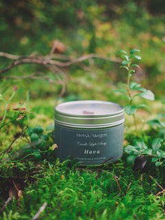 Soijavahakynttilä havu Metsä/Skogen x Candle Light Story 500 g