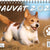 Tuotteen Hauvat A5 2027 pikkukuva 1