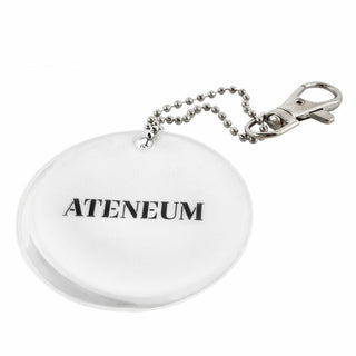 Heijastin Ateneum Närhiä