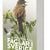Fåglar i Sverige och Norden : fälthandbok för alla