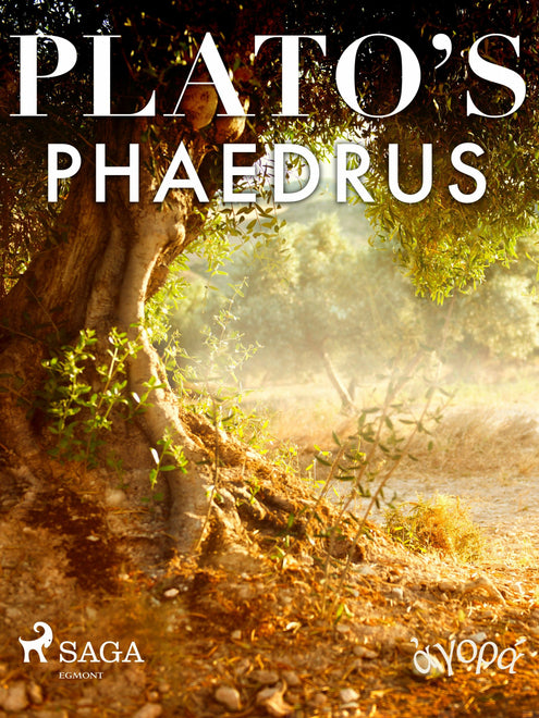 Plato’s Phaedrus