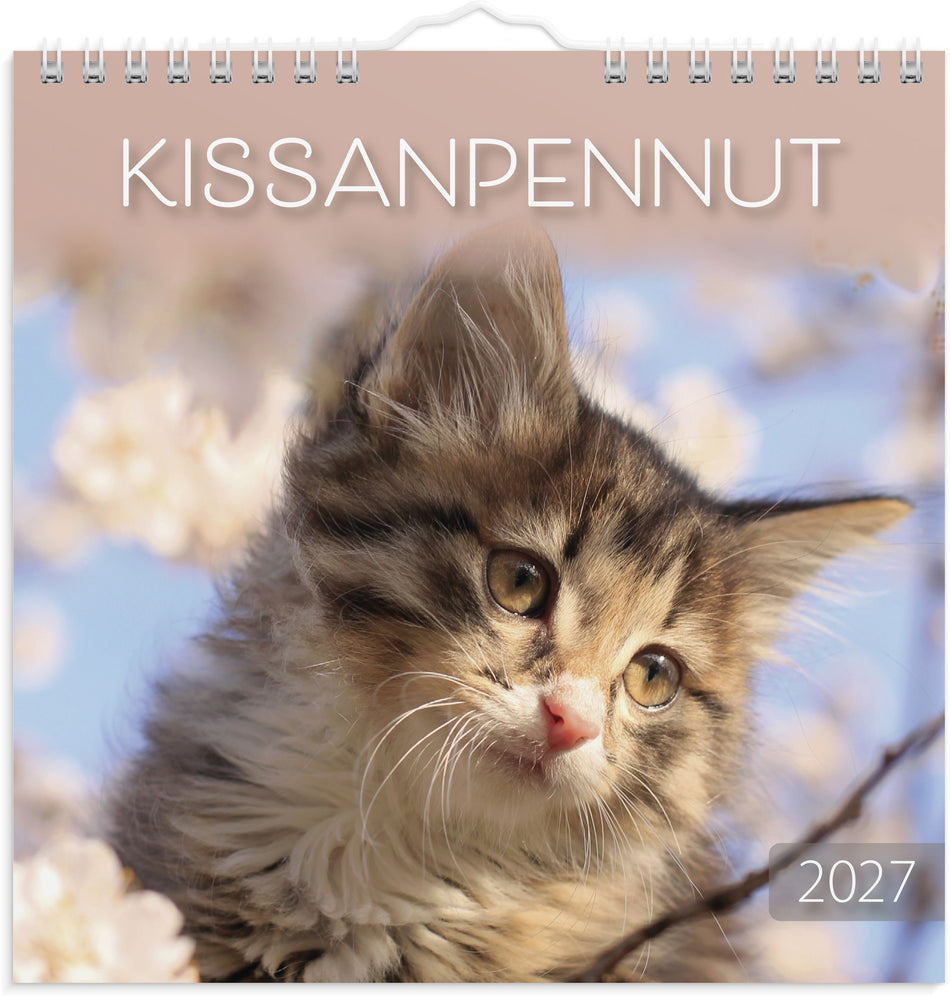 Valokuva tuotteesta Kissanpennut 2027, kuuluu tuoteryhmään Seinäkalenterit.