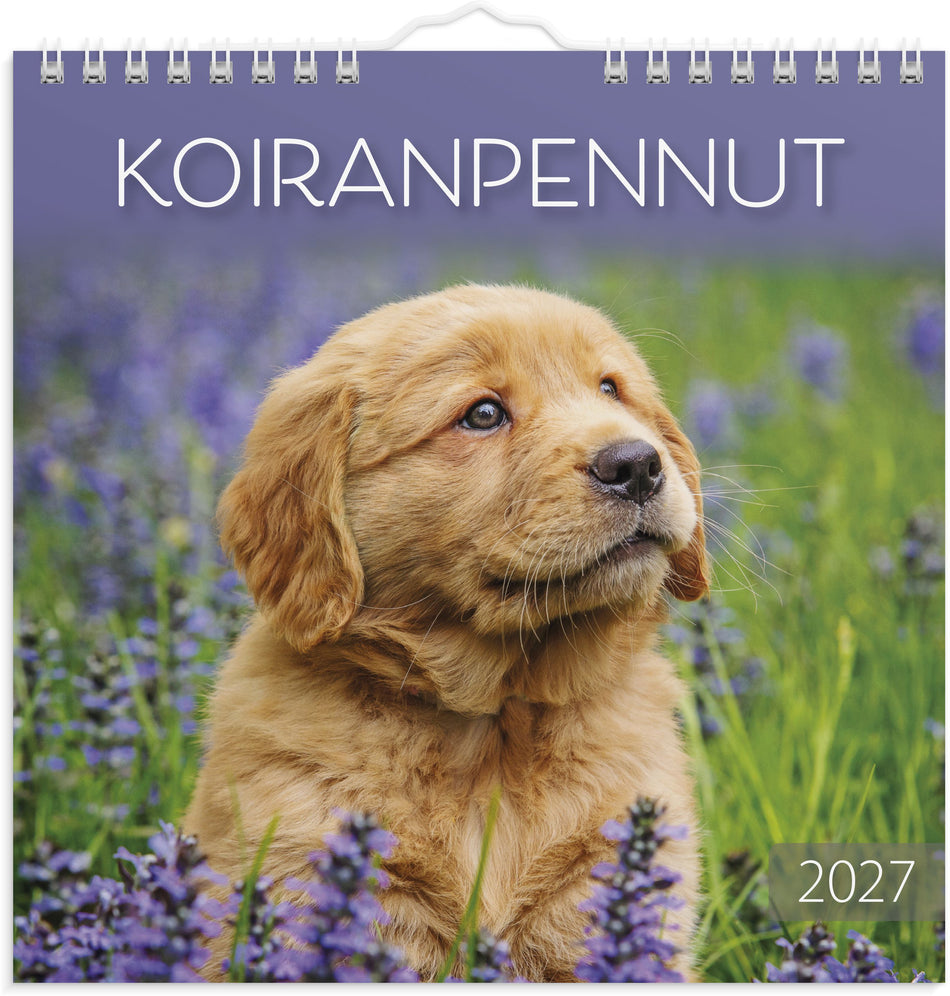 Valokuva tuotteesta Koiranpennut 2027, kuuluu tuoteryhmään Seinäkalenterit.