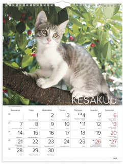 Kissat 2027