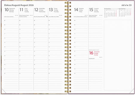 Business Story orvokki 2026