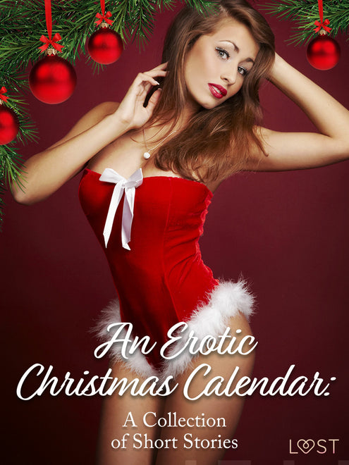 Erotic Christmas Calendar: A Collection of Short Stories, An