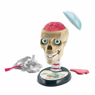 Clementoni Anatomia leikkisetti tiedesetti