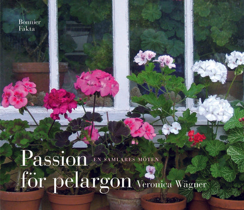 Passion för pelargon : en samlares möten