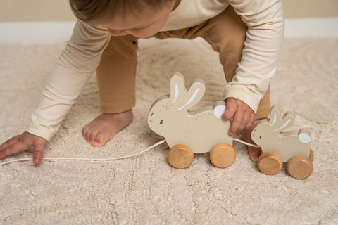 Vetolelu Baby Bunny