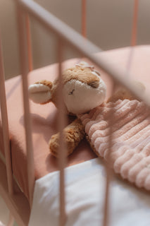 Uniliina kauris Fairy Garden Little Dutch