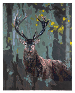 Paint by Number/Timanttimaalaus lahjapakkaus Hirvi