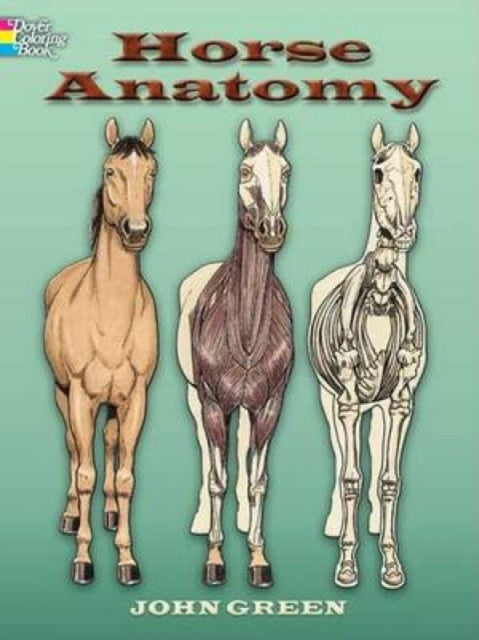 Valokuva kirjasta John Green Horse Anatomy Coloring Book, kuuluu tuoteryhmään Ulk lasten kuvakirjat.
