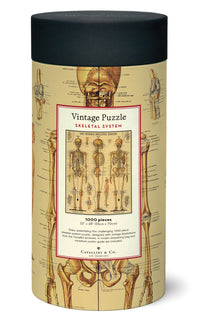 Palapeli 1000 palaa Cavallini Skeletal system