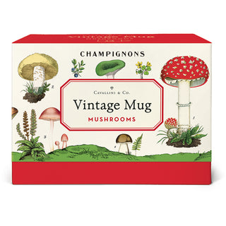 Muki Mushrooms Cavallini