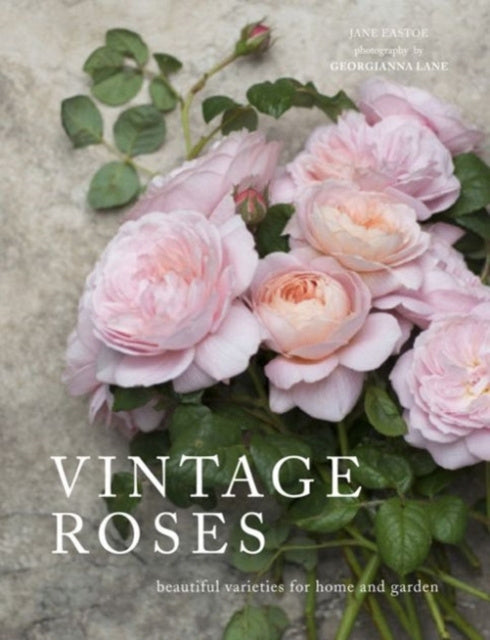Valokuva kirjasta Jane Eastoe Vintage Roses, kuuluu tuoteryhmään Ulk tiede luonto.
