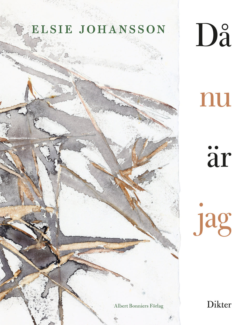 Valokuva kirjasta Elsie Johansson Då nu är jag, kuuluu tuoteryhmään Ruots muu tieto.