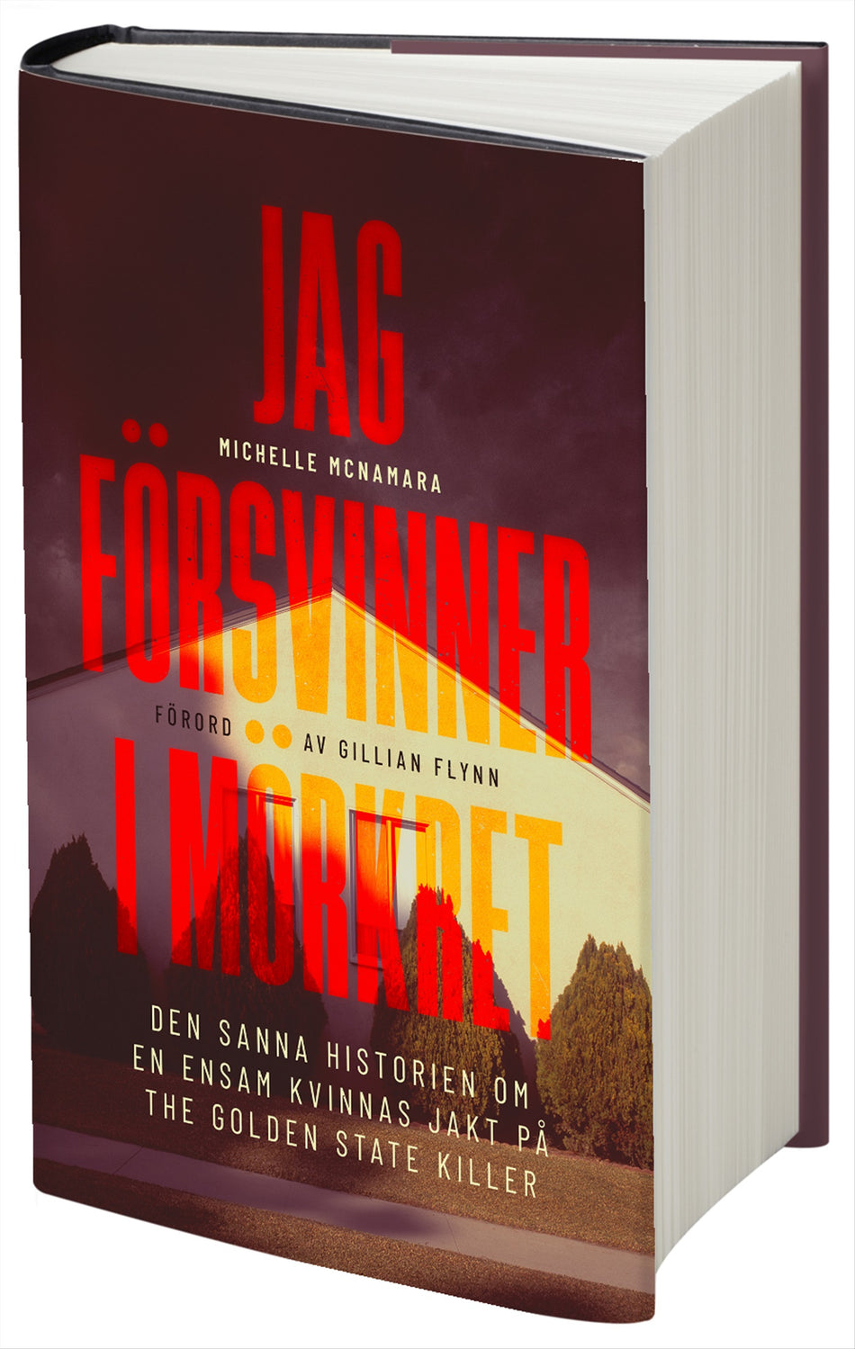 Valokuva kirjasta Michelle McNamara Jag försvinner i mörkret, kuuluu tuoteryhmään Ruots muu tieto.