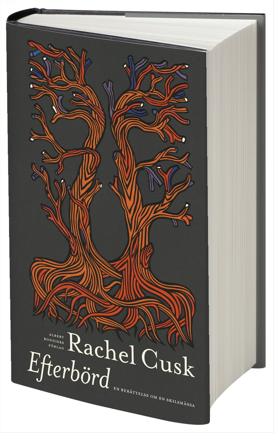 Valokuva kirjasta Rachel Cusk Efterbörd : om äktenskap och skilsmässa, kuuluu tuoteryhmään Ruots kaunokirjat.
