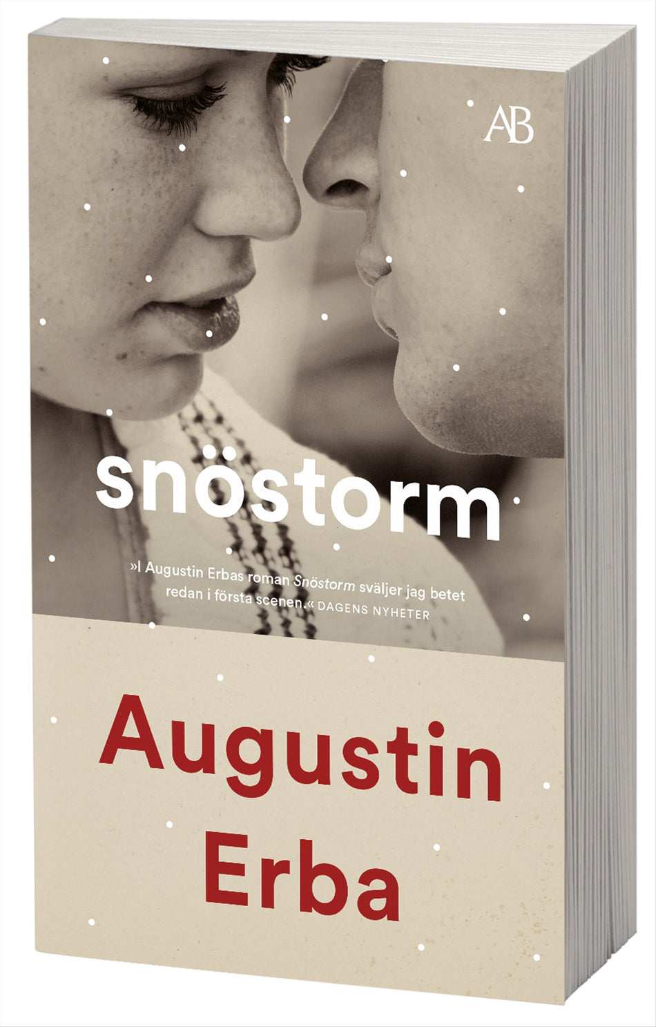 Valokuva kirjasta Augustin Erba Snöstorm, kuuluu tuoteryhmään Ruots kaunokirjat.