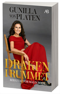 Draken i rummet