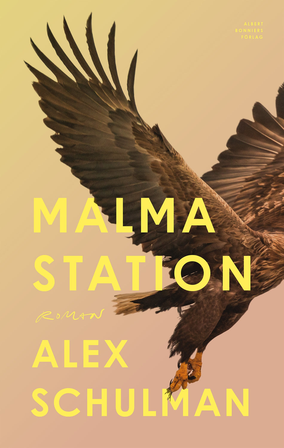 Valokuva kirjasta Alex Schulman Malma station, kuuluu tuoteryhmään Ruots kaunokirjat.