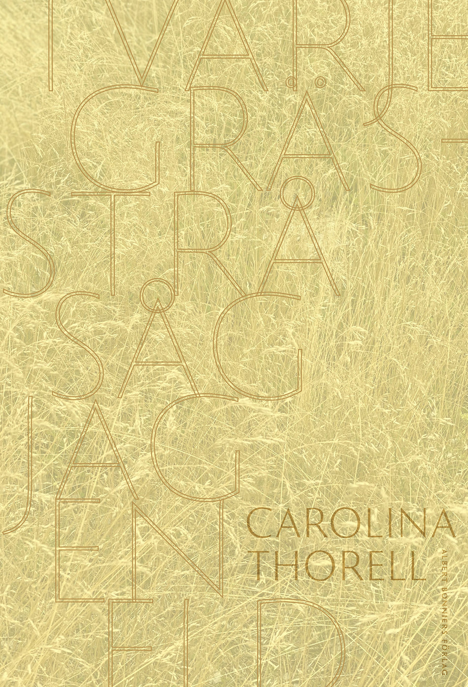 Valokuva kirjasta Carolina Thorell I varje grässtrå såg jag en eld, kuuluu tuoteryhmään Ruots muu tieto.